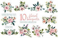 Eucalyptus. Big floral collection. Product Image 4