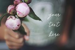 10 Pink peonies, styled stock photos Product Image 4