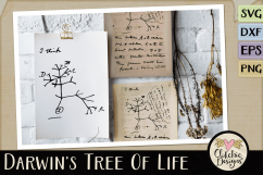 Darwin&#039;s Evolutionary Tree of Life SVG Cutting File Product Image 3