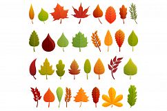 Autumn leaves icons set, cartoon style Product Image 1