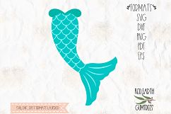 Mermaid tail and clam bra, scale in SVG, DXF, PNG,EPS format Product Image 3