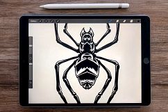 Spooky Spiders Hand-drawn Halloween Art Pack - Vector &amp; PSD Product Image 14