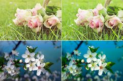 Spring Lr Presets Product Image 7