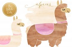 Watercolor Lama &amp; Alpaca Clipart Product Image 5