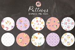 Watercolor Flower Petal Ombre Wreaths Frames Pattern Package Product Image 7