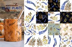 Brake plants PNG watercolor set Product Image 7