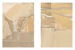 Worn &amp; Torn Cardboard Texture Vol. 1 Product Image 12