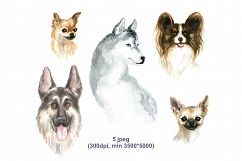 Hand drawn portraits of dogs. Watercolor painting. Product Image 2