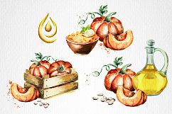 Pumpkin. Watercolor bundle Product Image 6