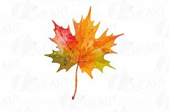 Autumn leafs watercolor clip art pack, watercolor fall frame Product Image 28