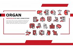 Organ Donation Medical Landing Header Vector Product Image 1