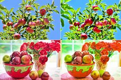 Fruits Lr Presets Product Image 6