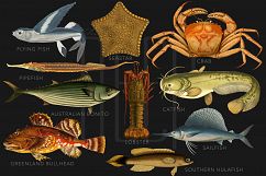 The Deep Sea Creature Illustrations Product Image 3