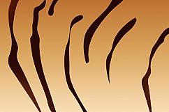 Tiger Abstract Background Product Image 2
