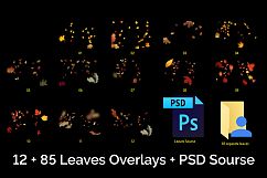 97 Autumn Leaves Photo Overlays Product Image 2