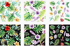 Tropical Floral Watercolor Collection Product Image 6