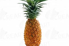 Watercolor Pineapple clip art pack, watercolor ananas clip art exotic fruit, Printable png, pdf, jpg, svg, eps and vector files included. Product Image 8