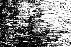 18 Transparent Grunge Textures Product Image 8