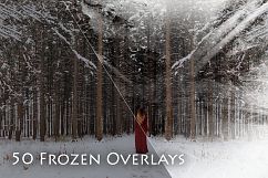 1700 Christmas Effects Bundle Product Image 2