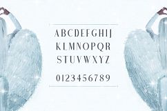 Angel Wings Product Image 2