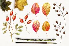 Woodland Fall Watercolor Clipart Product Image 4
