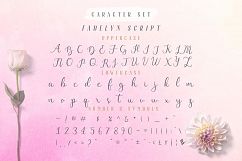 Fadelyn - Font Duo Product Image 7