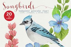 Song Birds Watercolor Clipart Product Image 5