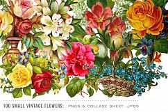 100 Small Vintage Flower Graphics Product Image 3