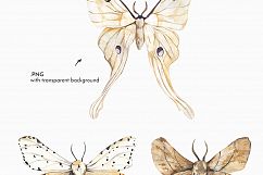 MOTH watercolor collection Product Image 3