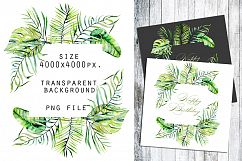 Hawaii. Big tropical clip art. Product Image 7