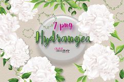 White Hydrangeas &amp; Vines Product Image 2