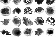 MICROCOSM - 55 Photoshop brushes Product Image 2