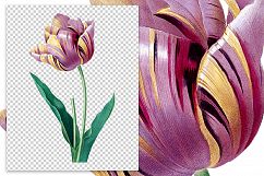 Florals - Vintage Lavender Gold Tulip Product Image 2