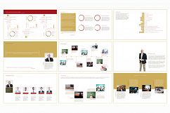 Premium Management Profile Product Image 1
