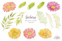 Watercolor set of gerbera flowers Product Image 3