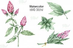 Orange, Mint, Cinnamon. Watercolor Product Image 2