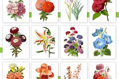Entire Vintage Collection -Over 1000 Illustrations Product Image 6