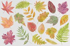 Autumn leaf fall. Watercolor. Product Image 3