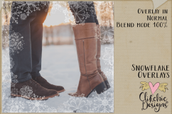 Snowflake Textures - Grunge Textured Snowflake Overlays Product Image 4
