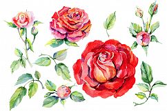 Roses PNG watercolor flower set Product Image 2