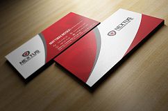 Red Corporate Identity Product Image 3