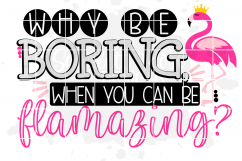 Why be Boring when you can be Flamazing SVG Product Image 2