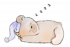 Assorted Bears | 6 PNG clip art illustrations Product Image 7