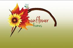 Sunflower Frames Product Image 10