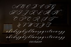 Faradisa Script Product Image 2