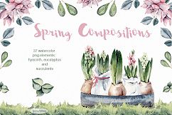 Spring watercolor compositions with Giacint illustration Product Image 1