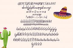 Mister Sombrero Product Image 4