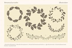 Songbirds graphic collection Product Image 3