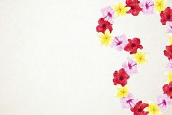 Watercolor Luau Clipart, Luau Clip Art, Hawaiian Clipart Product Image 5