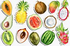 Watercolor tropical fruits clipart Product Image 4